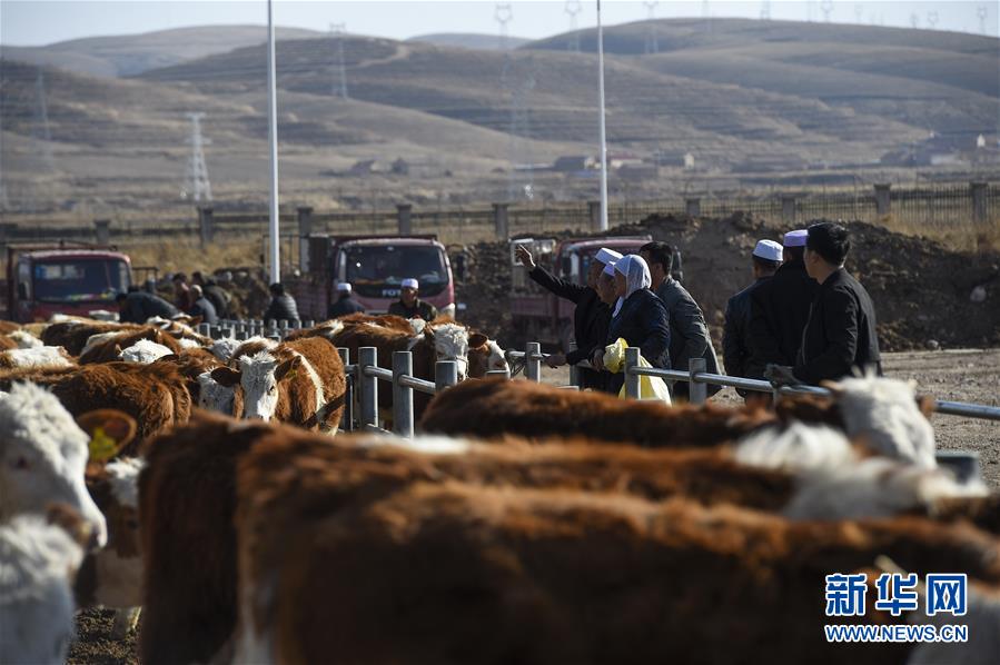 (在習(xí)近平新時(shí)代中國(guó)特色社會(huì)主義思想指引下——新時(shí)代新作為新篇章·習(xí)近平總書記關(guān)切事·圖文互動(dòng))(2)六盤山下的誓言——來自寧夏的脫貧故事