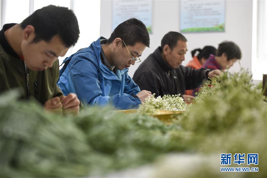 (在習(xí)近平新時(shí)代中國(guó)特色社會(huì)主義思想指引下——新時(shí)代新作為新篇章·習(xí)近平總書記關(guān)切事·圖文互動(dòng))(5)六盤山下的誓言——來自寧夏的脫貧故事