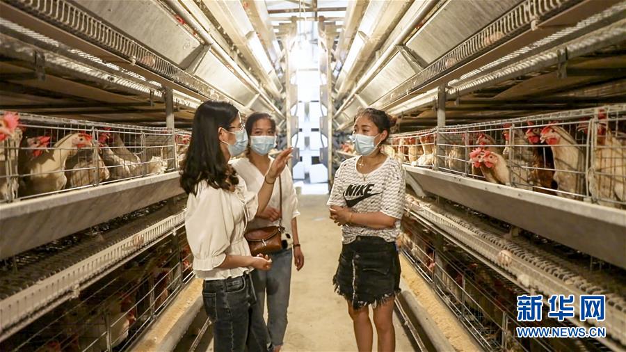 (新華全媒頭條·圖文互動(dòng))(4)基層天地廣闊 青春大有作為——聚焦“三支一扶”計(jì)劃實(shí)施十五年