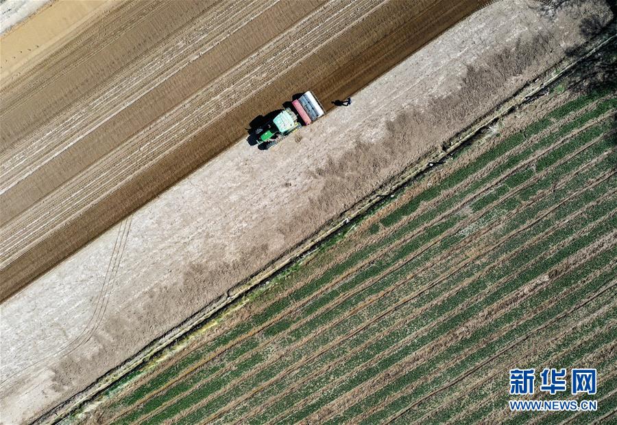 （新華全媒頭條&middot;圖文互動）（11）中國北斗 服務全球&mdash;&mdash;寫在我國完成北斗全球衛(wèi)星導航系統(tǒng)星座部署之際