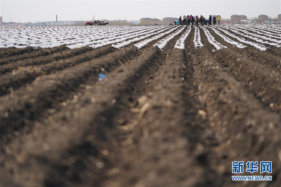 (在習(xí)近平新時(shí)代中國(guó)特色社會(huì)主義思想指引下——新時(shí)代新作為新篇章·習(xí)近平總書記關(guān)切事·圖文互動(dòng))(3)讓每一寸耕地都成為豐收的沃土——我國(guó)加強(qiáng)耕地保護(hù)推進(jìn)“藏糧于地”