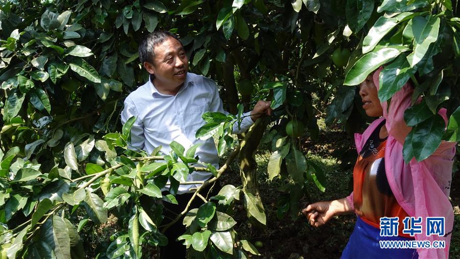 （新華網(wǎng)&middot;決戰(zhàn)決勝脫貧攻堅(jiān)&middot;圖文互動）（1）貴州思南：強(qiáng)村帶弱村 &ldquo;抱團(tuán)&rdquo;促增收