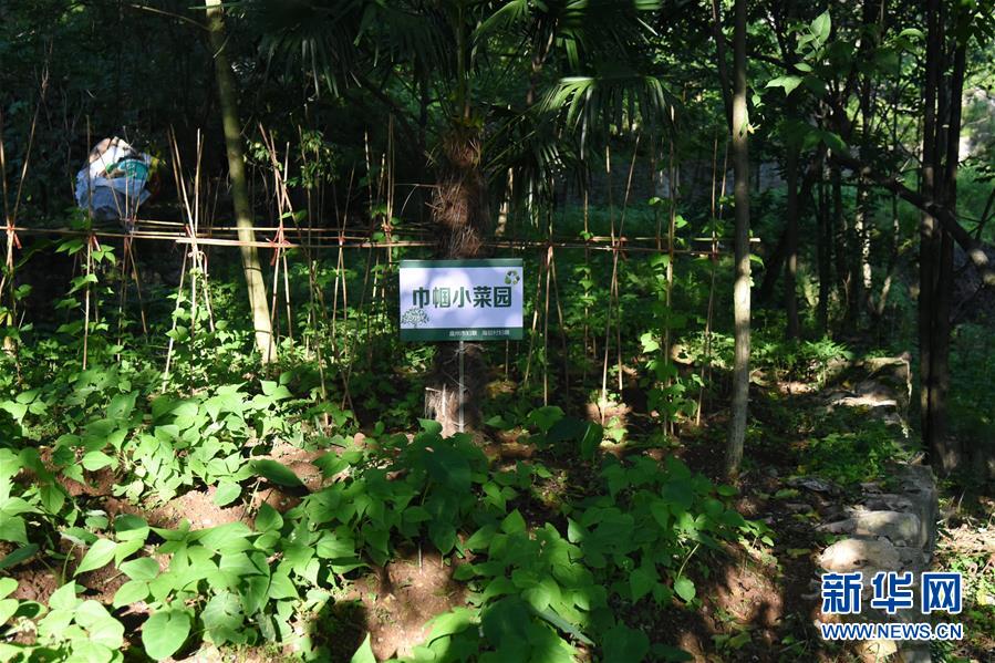 （鄉(xiāng)村振興&middot;圖文互動(dòng)）（5）海壩成&ldquo;畫(huà)&rdquo;