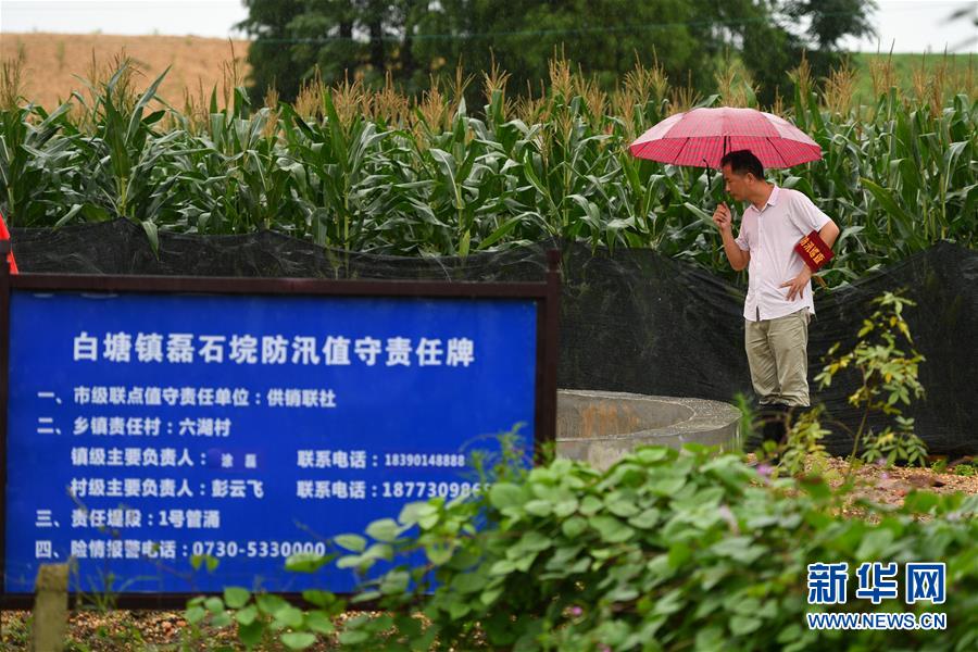 （防汛抗洪&middot;圖文互動(dòng)）（1）&ldquo;險(xiǎn)情不可怕，可怕的是不能及時(shí)發(fā)現(xiàn)險(xiǎn)情&rdquo;&mdash;&mdash;洞庭湖巡堤查險(xiǎn)現(xiàn)場直擊