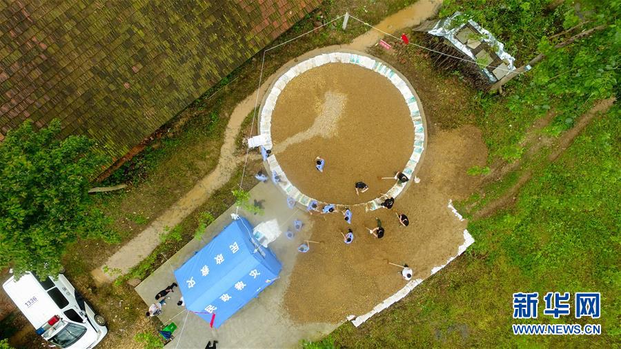 （防汛抗洪&middot;圖文互動(dòng)）（2）&ldquo;險(xiǎn)情不可怕，可怕的是不能及時(shí)發(fā)現(xiàn)險(xiǎn)情&rdquo;&mdash;&mdash;洞庭湖巡堤查險(xiǎn)現(xiàn)場直擊