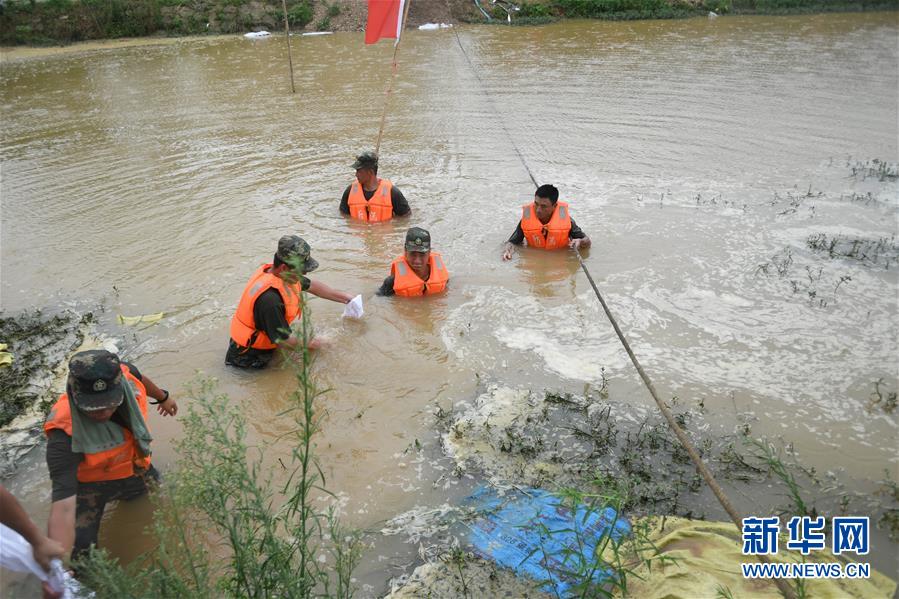 （防汛抗洪&middot;圖文互動）（1）&ldquo;大堤上有了&lsquo;導(dǎo)彈綠&rsquo;，我們老百姓安了心&rdquo;