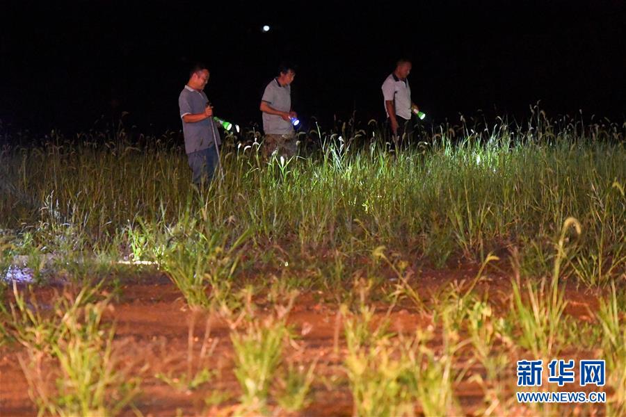 （防汛抗洪&middot;圖文互動(dòng)）（2）&ldquo;保衛(wèi)家園，誰(shuí)都不能是旁觀者&rdquo;&mdash;&mdash;夜訪洞庭湖大堤防汛一線