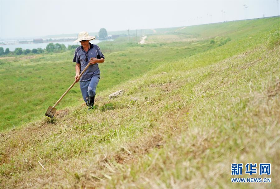 (防汛抗洪·圖文互動(dòng))(1)特寫(xiě):康山大堤上的脫貧“守堤人”