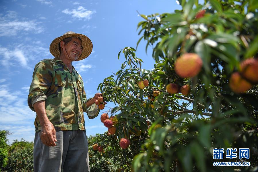 （新華全媒頭條&middot;走向我們的小康生活&middot;圖文互動）（15）留住鄉(xiāng)愁留住美&mdash;&mdash;千村競秀綴瓊州