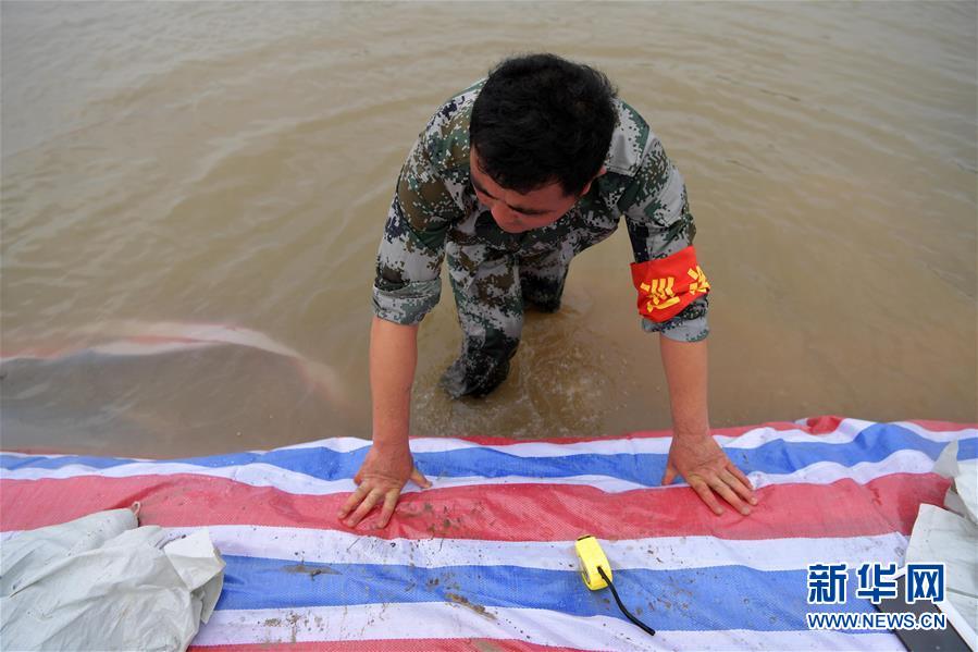 （新華全媒頭條&middot;圖文互動(dòng)）（5）鏖戰(zhàn)江新洲