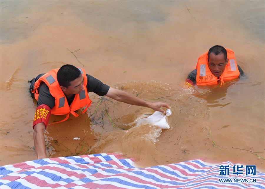 (防汛抗洪·圖文互動(dòng))(2)抗洪長堤上的“三件寶”