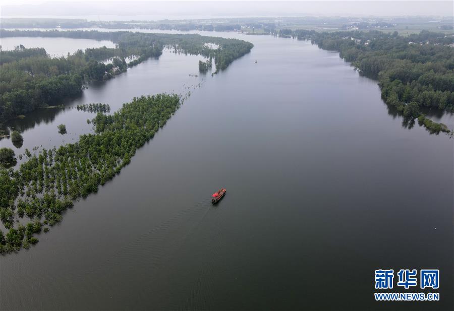 (防汛抗洪)(3)七旬?dāng)[渡人“重出江湖”:我為抗洪出份力