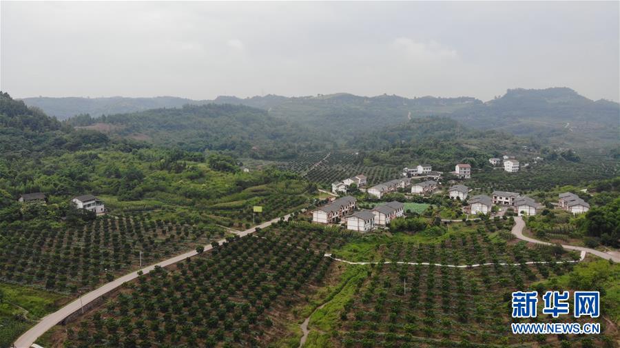 (走向我們的小康生活·圖文互動)(1)擺擺幸福鄉(xiāng)村的新鮮事兒