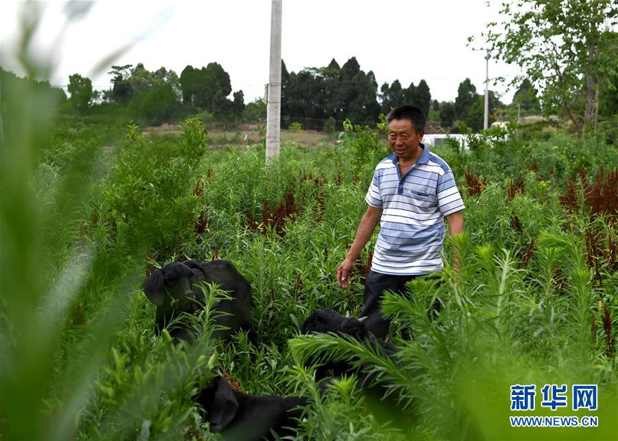 (走向我們的小康生活·圖文互動)(3)擺擺幸福鄉(xiāng)村的新鮮事兒