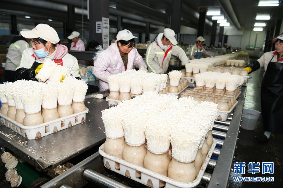 (走向我們的小康生活·圖文互動)(2)烏蒙“同心”戰(zhàn)貧困