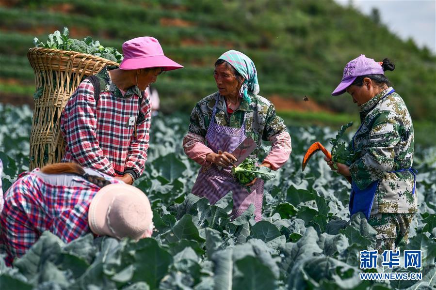 (新華全媒頭條·走向我們的小康生活·圖文互動)(10)三幅“圖鑒”說變遷——貴州“穿越時空”的脫貧印記
