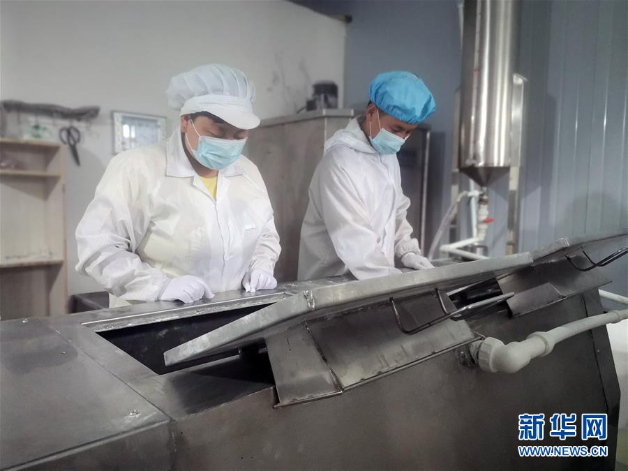 （中國(guó)網(wǎng)事&middot;感動(dòng)2020&middot;圖文互動(dòng)）（1）&ldquo;90后&rdquo;扶貧干部跨越千里當(dāng)上&ldquo;掛面書記&rdquo;