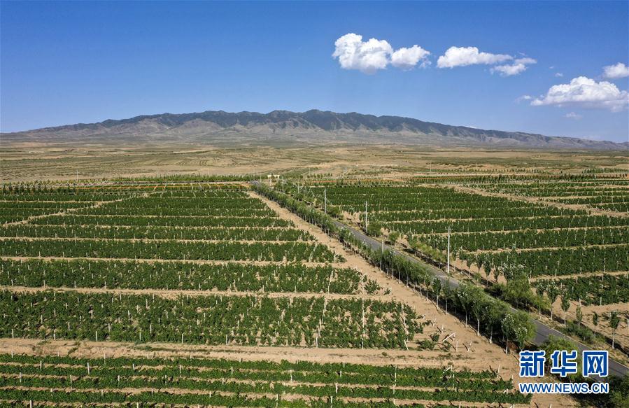 (走向我們的小康生活·圖文互動(dòng))(4)西海固換了新模樣