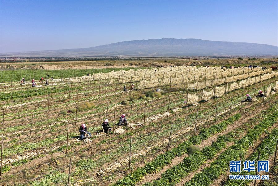 （新華全媒頭條&middot;走向我們的小康生活&middot;圖文互動）（8）23萬人的命運轉折&mdash;&mdash;我國最大易地生態(tài)移民安置區(qū)的脫貧密碼