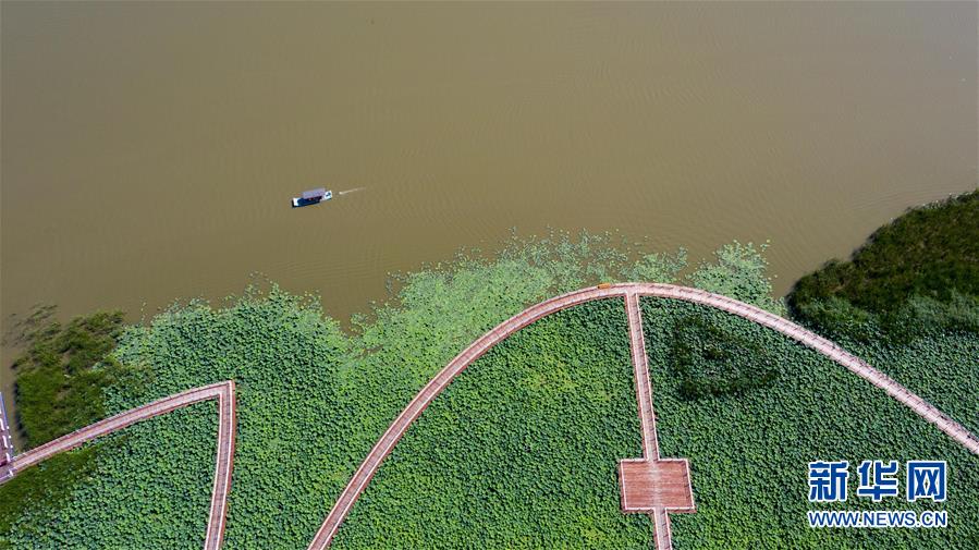 （在習(xí)近平新時(shí)代中國(guó)特色社會(huì)主義思想指引下&mdash;&mdash;新時(shí)代新作為新篇章&middot;習(xí)近平總書記關(guān)切事&middot;圖文互動(dòng)）（8）綠色映底蘊(yùn)，山水見初心&mdash;&mdash;生態(tài)優(yōu)先、綠色發(fā)展持續(xù)造福群眾美好生活