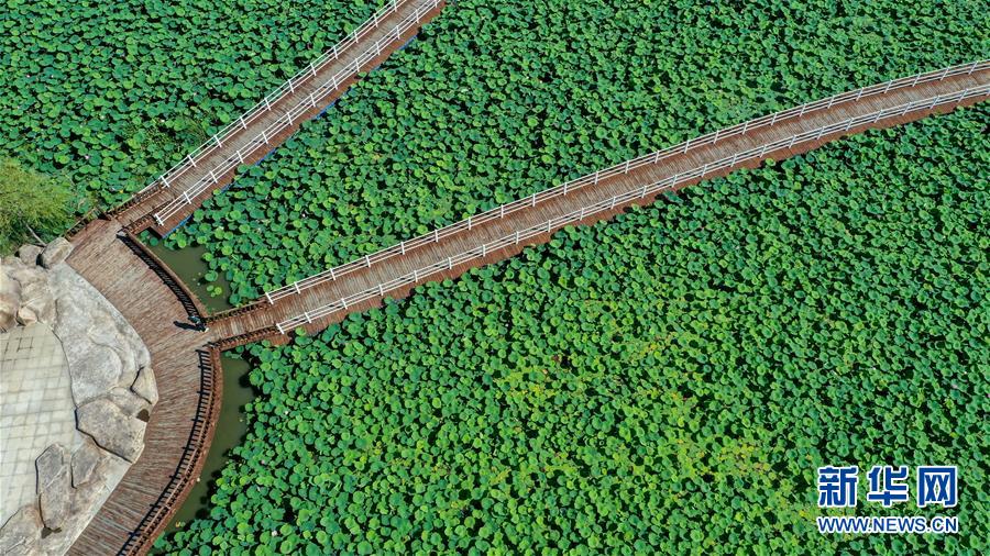 （在習(xí)近平新時(shí)代中國(guó)特色社會(huì)主義思想指引下&mdash;&mdash;新時(shí)代新作為新篇章&middot;習(xí)近平總書記關(guān)切事&middot;圖文互動(dòng)）（9）綠色映底蘊(yùn)，山水見初心&mdash;&mdash;生態(tài)優(yōu)先、綠色發(fā)展持續(xù)造福群眾美好生活