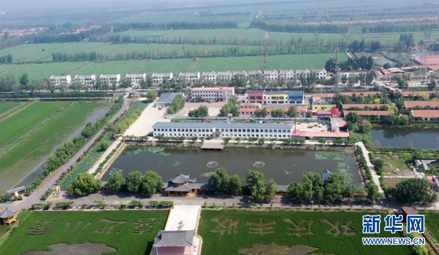 (鄉(xiāng)村振興·圖文互動)(1)歡喜莊的“歡喜事”