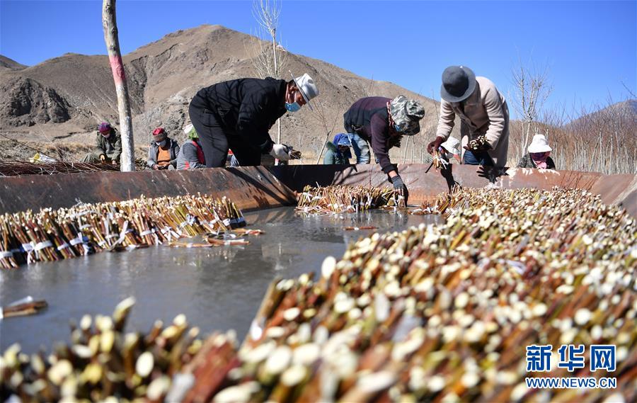 （圖文互動）（1）&ldquo;最美第三極&rdquo;：筑起生態(tài)文明高地