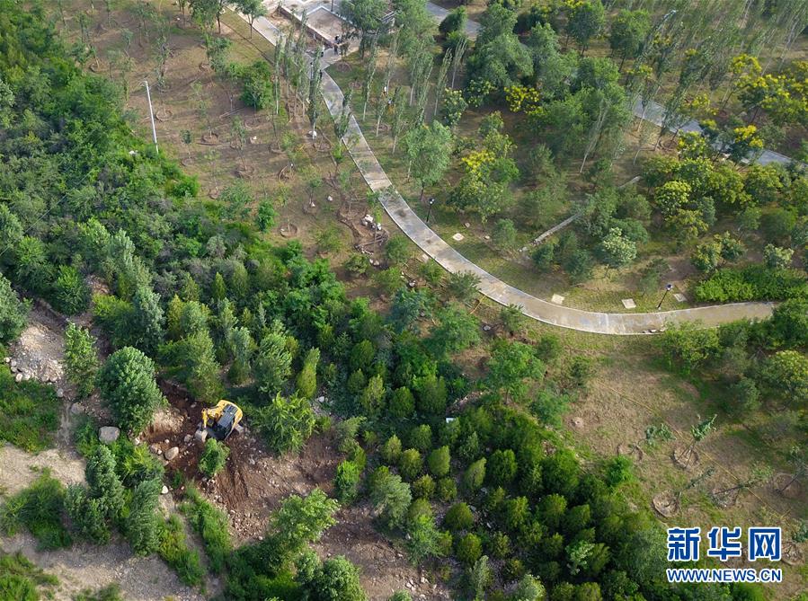 （新華全媒頭條&middot;圖文互動）（15）扎實(shí)推進(jìn)籌辦，不負(fù)青春韶華&mdash;&mdash;北京冬奧會籌辦備戰(zhàn)克服疫情影響平穩(wěn)推進(jìn)