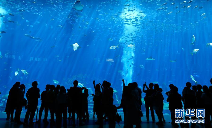 （在習(xí)近平新時(shí)代中國特色社會(huì)主義思想指引下&mdash;&mdash;新時(shí)代新作為新篇章&middot;習(xí)近平總書記關(guān)切事&middot;圖文互動(dòng)）（9）感受開放新魅力&mdash;&mdash;海南自由貿(mào)易港建設(shè)開局觀察