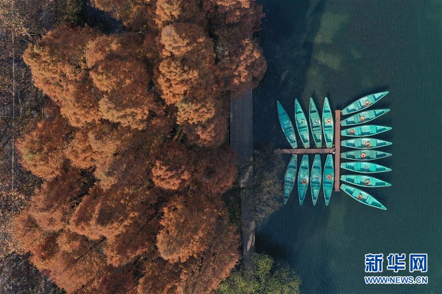 (新華全媒頭條·圖文互動(dòng))(8)錢塘今朝更繁華——高水平小康的“杭州答卷”