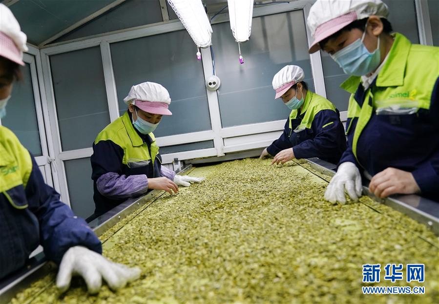 （在習(xí)近平新時代中國特色社會主義思想指引下&mdash;&mdash;新時代新作為新篇章&middot;習(xí)近平總書記關(guān)切事&middot;圖文互動）（5）激發(fā)每個經(jīng)濟(jì)&ldquo;細(xì)胞&rdquo;的活力&mdash;&mdash;千方百計把市場主體保護(hù)好