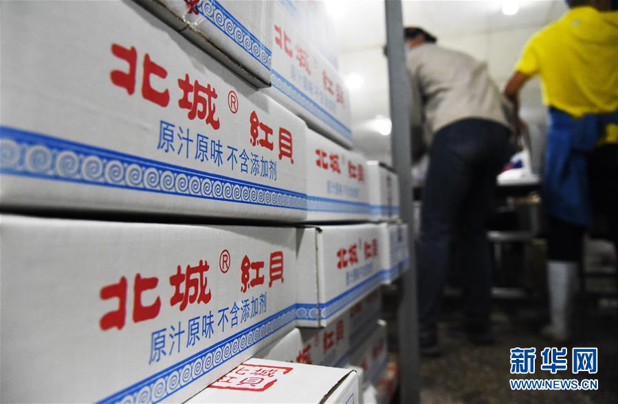 （走向我們的小康生活&middot;圖文互動(dòng)）（2）長(zhǎng)島漁民的扇貝喜事：從請(qǐng)客求人買到供不應(yīng)求