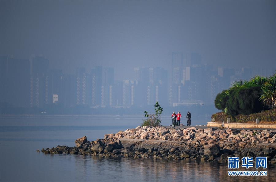 (新華全媒頭條·圖文互動(dòng))(10)鯤鵬展翅九萬里——深圳奮力跑好建設(shè)中國特色社會(huì)主義先行示范區(qū)“第一程”