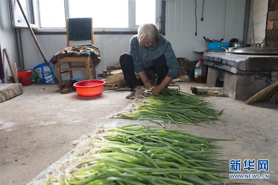 (決戰(zhàn)決勝脫貧攻堅·圖文互動)(4)老張的菜園
