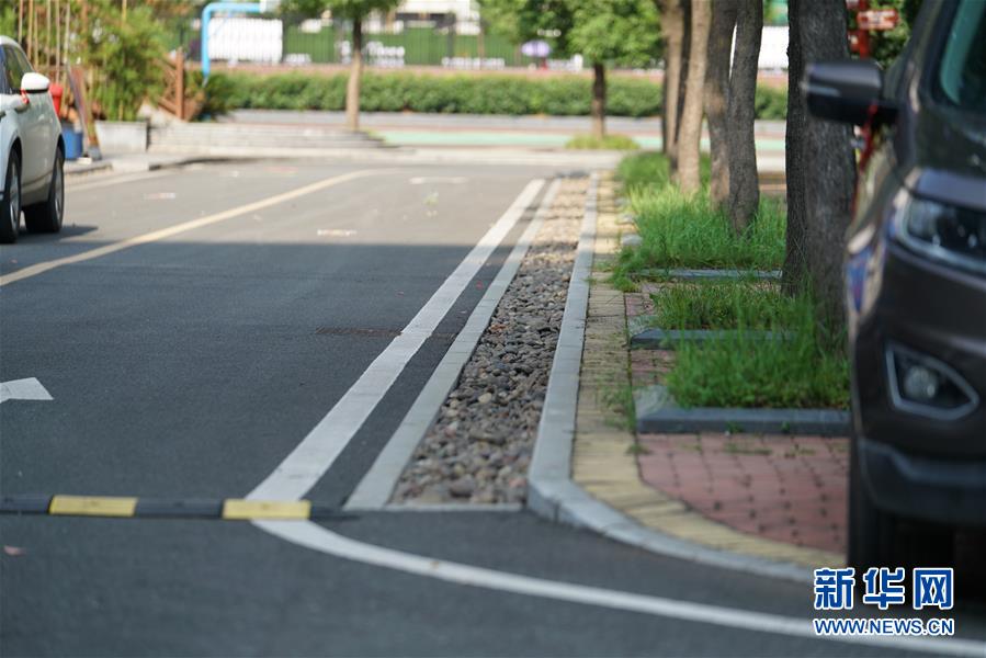 (圖文互動)(2)“綠灰白”破解城市內澇之“囧”