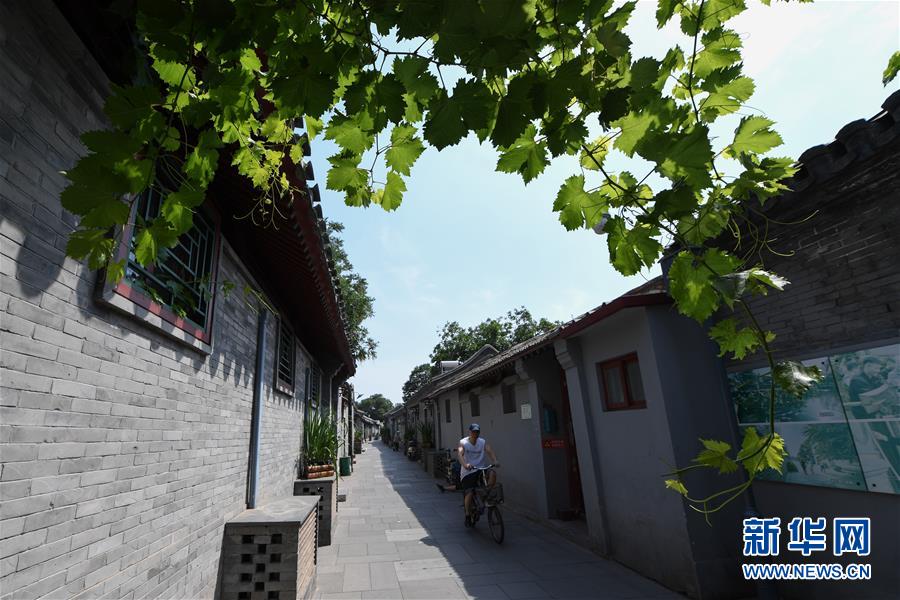 （走向我們的小康生活&middot;圖文互動(dòng)）（1）小橋、流水、書(shū)香、人家&mdash;&mdash;老北京胡同里的恬靜棲居