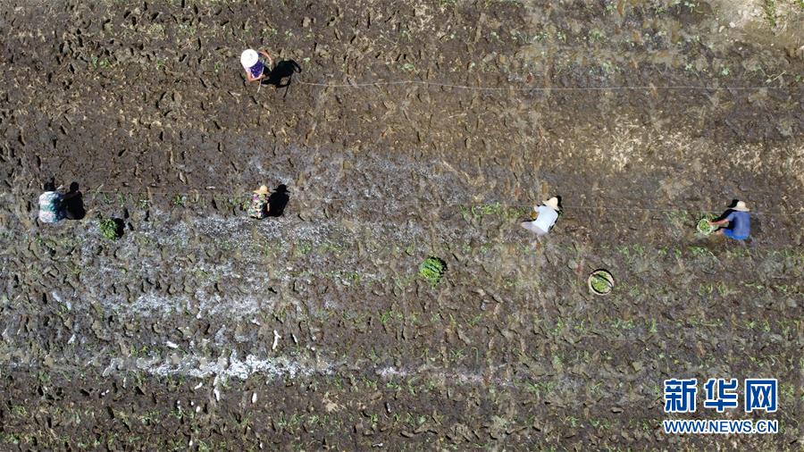 （在習(xí)近平新時代中國特色社會主義思想指引下&mdash;&mdash;新時代新作為新篇章&middot;習(xí)近平總書記關(guān)切事&middot;圖文互動）（8）一切為了人民&mdash;&mdash;寫在全國防汛救災(zāi)取得階段性重大勝利之時