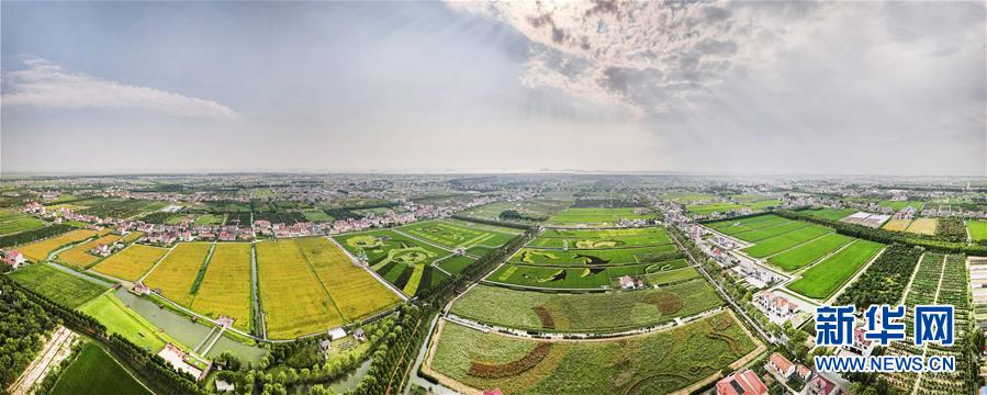 (新華視界)(2)扮靚稻田迎豐收