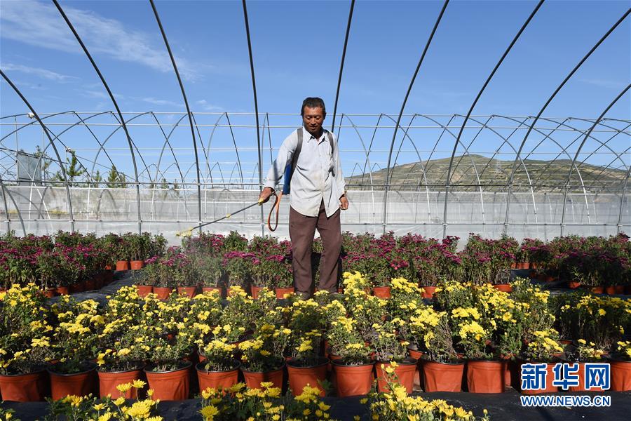 （新華全媒頭條&middot;走向我們的小康生活&middot;圖文互動(dòng)）（10）&ldquo;苦甲&rdquo;不再，&ldquo;甘味&rdquo;綿長(zhǎng)&mdash;&mdash;脫貧攻堅(jiān)的甘肅味道