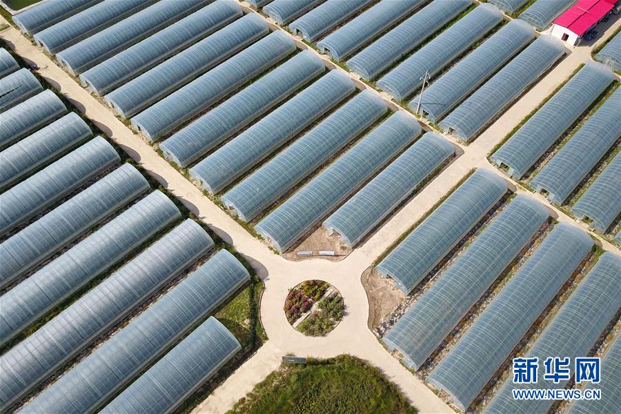 （新華全媒頭條&middot;走向我們的小康生活&middot;圖文互動(dòng)）（11）&ldquo;苦甲&rdquo;不再，&ldquo;甘味&rdquo;綿長(zhǎng)&mdash;&mdash;脫貧攻堅(jiān)的甘肅味道