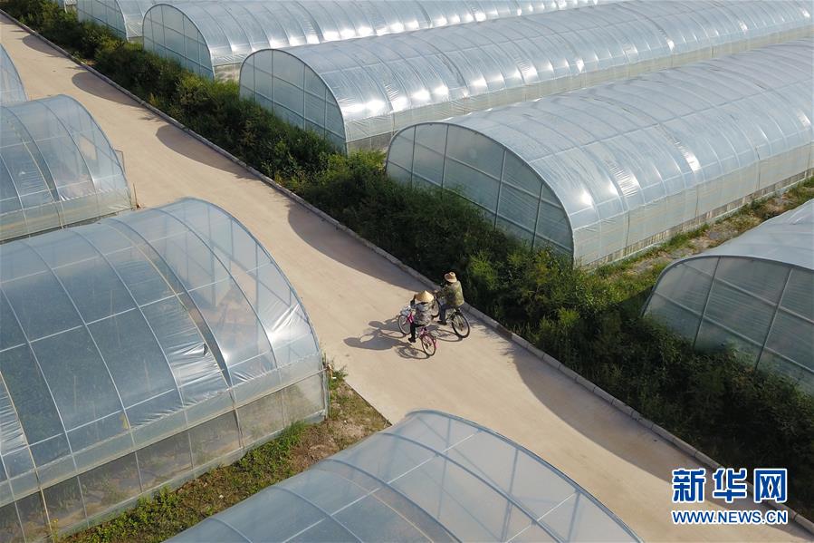 (走向我們的小康生活·圖文互動(dòng))(3)“荒涼”土地掘金記——甘肅旱作農(nóng)業(yè)發(fā)展“變奏曲”