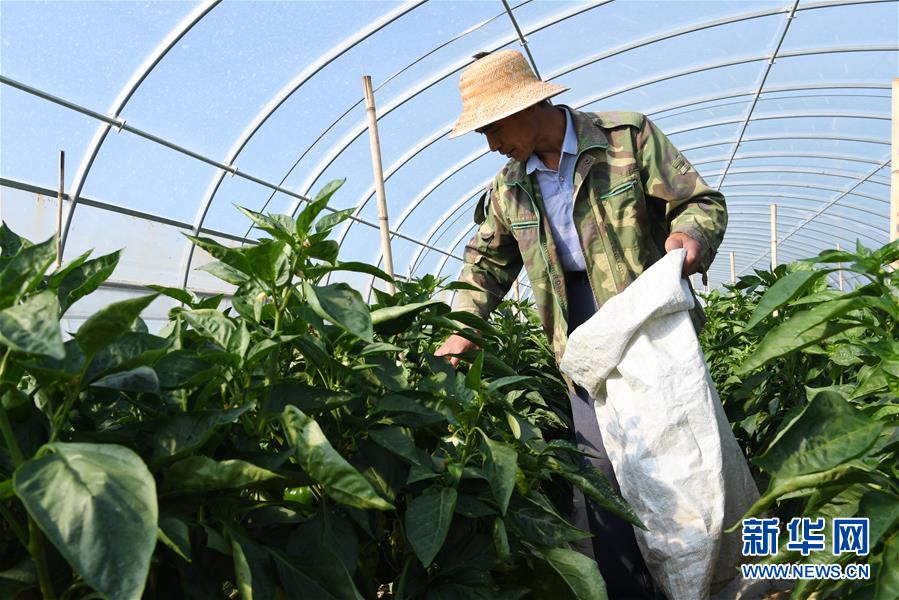 (走向我們的小康生活·圖文互動(dòng))(2)“荒涼”土地掘金記——甘肅旱作農(nóng)業(yè)發(fā)展“變奏曲”