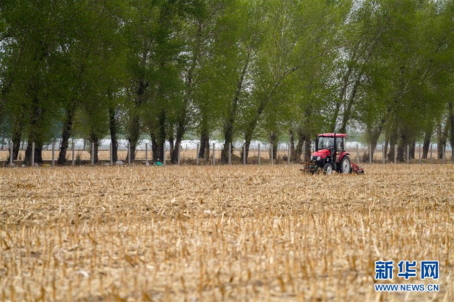 （新華全媒頭條&middot;圖文互動）（9）為現(xiàn)代農(nóng)業(yè)探新路&mdash;&mdash;來自吉林梨樹的田野報告