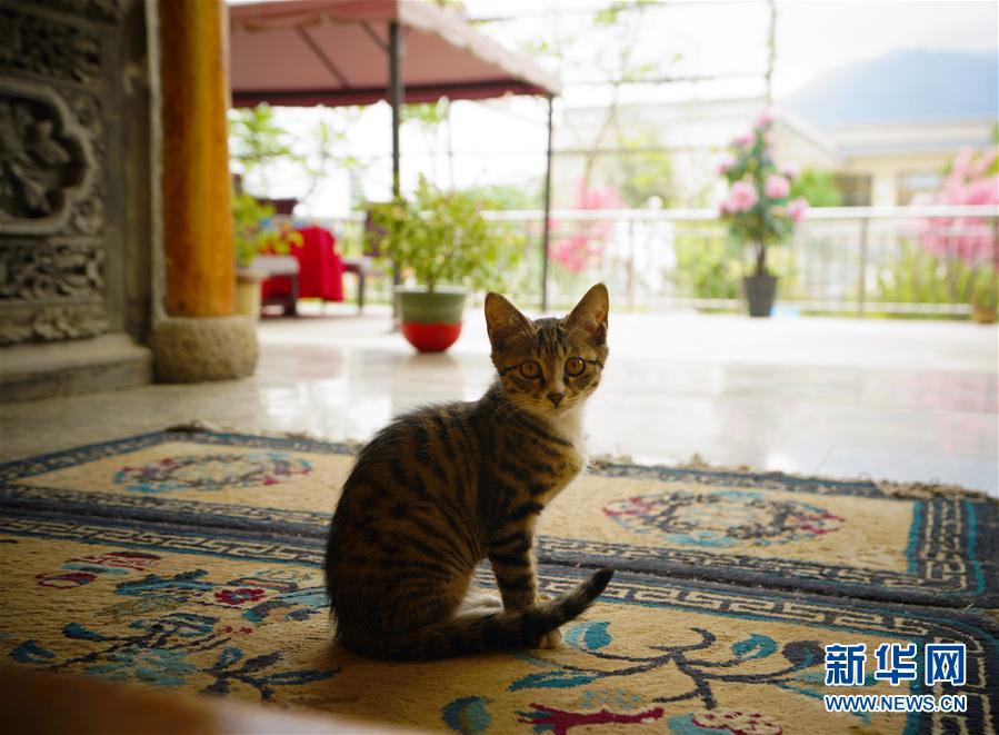 （走向我們的小康生活&middot;決戰(zhàn)決勝脫貧攻堅(jiān)&middot;圖文互動）（3）甘青交界處的跨越&mdash;&mdash;保安族、撒拉族的脫貧故事