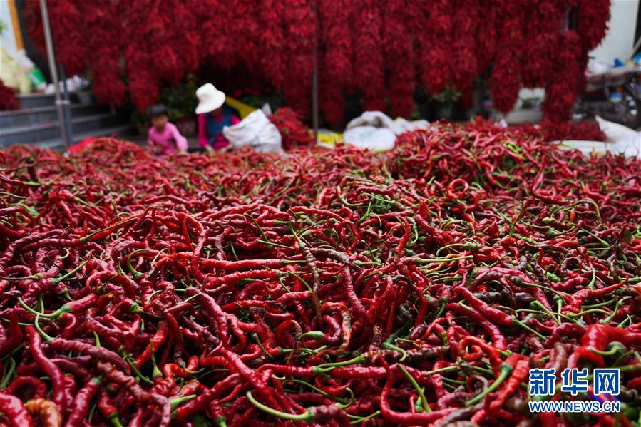 （走向我們的小康生活&middot;決戰(zhàn)決勝脫貧攻堅(jiān)&middot;圖文互動）（7）甘青交界處的跨越&mdash;&mdash;保安族、撒拉族的脫貧故事 