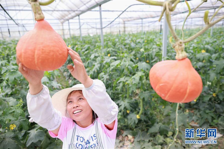 （走向我們的小康生活&middot;決戰(zhàn)決勝脫貧攻堅(jiān)&middot;圖文互動）（2）麻山突圍記