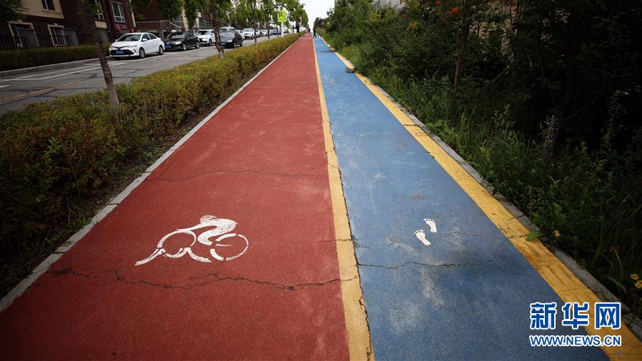 (圖文互動)(9)長白山60年書寫“生態(tài)答卷”