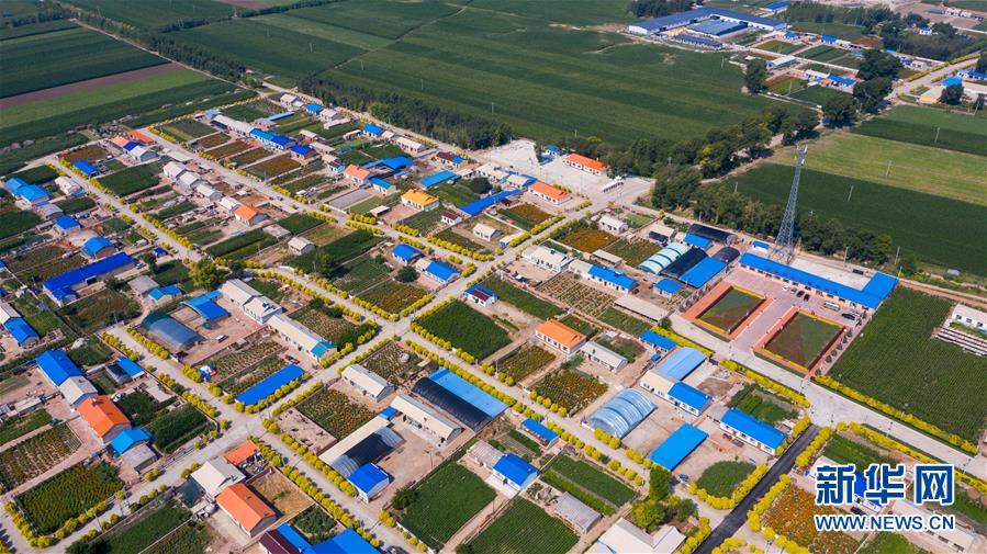 （新華全媒頭條&middot;走向我們的小康生活&middot;圖文互動）（1）黑土地上是我家&mdash;&mdash;在吉林，一瞥中國東北鄉(xiāng)村美麗未來