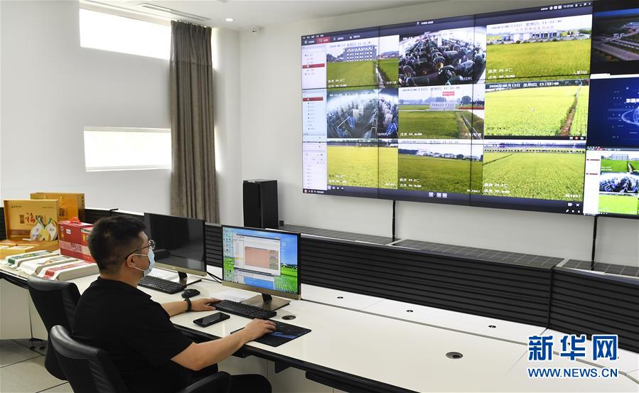 （新華全媒頭條&middot;走向我們的小康生活&middot;圖文互動）（4）黑土地上是我家&mdash;&mdash;在吉林，一瞥中國東北鄉(xiāng)村美麗未來