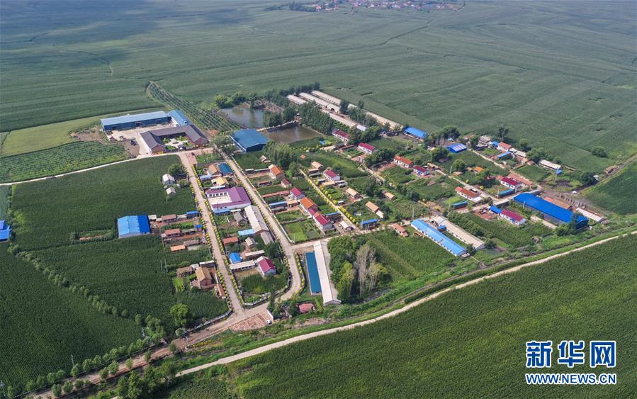 （新華全媒頭條&middot;走向我們的小康生活&middot;圖文互動）（12）黑土地上是我家&mdash;&mdash;在吉林，一瞥中國東北鄉(xiāng)村美麗未來